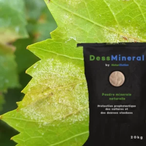 DessMineral®, un produit idéal contre le mildiou de la vigne