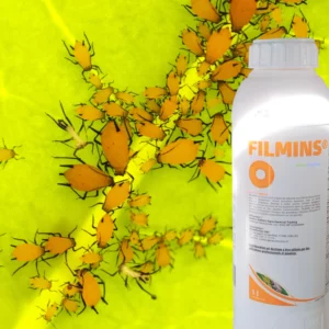 Bouteille de FilmIns ® devant des pucerons sur une feuille