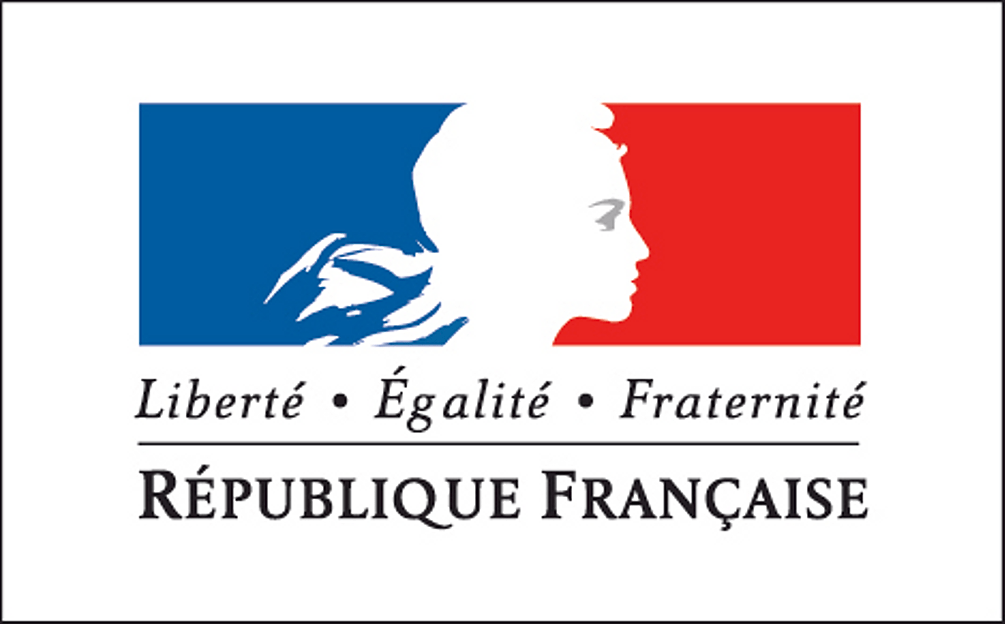 Drapeau français avec Marianne représentant le blanc 